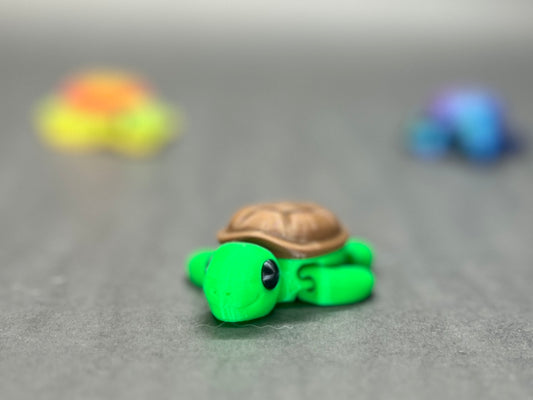 Baby Turtle